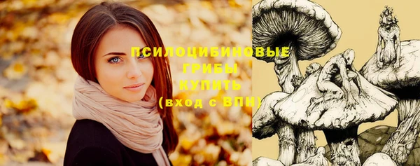 мескалин Алексин