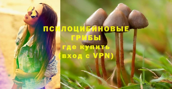 а пвп мука Алзамай