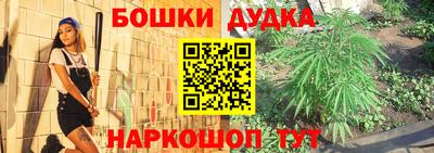 прущие грибы Кунгур