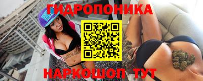 прущие грибы Кунгур
