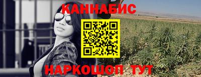 прущие грибы Кунгур